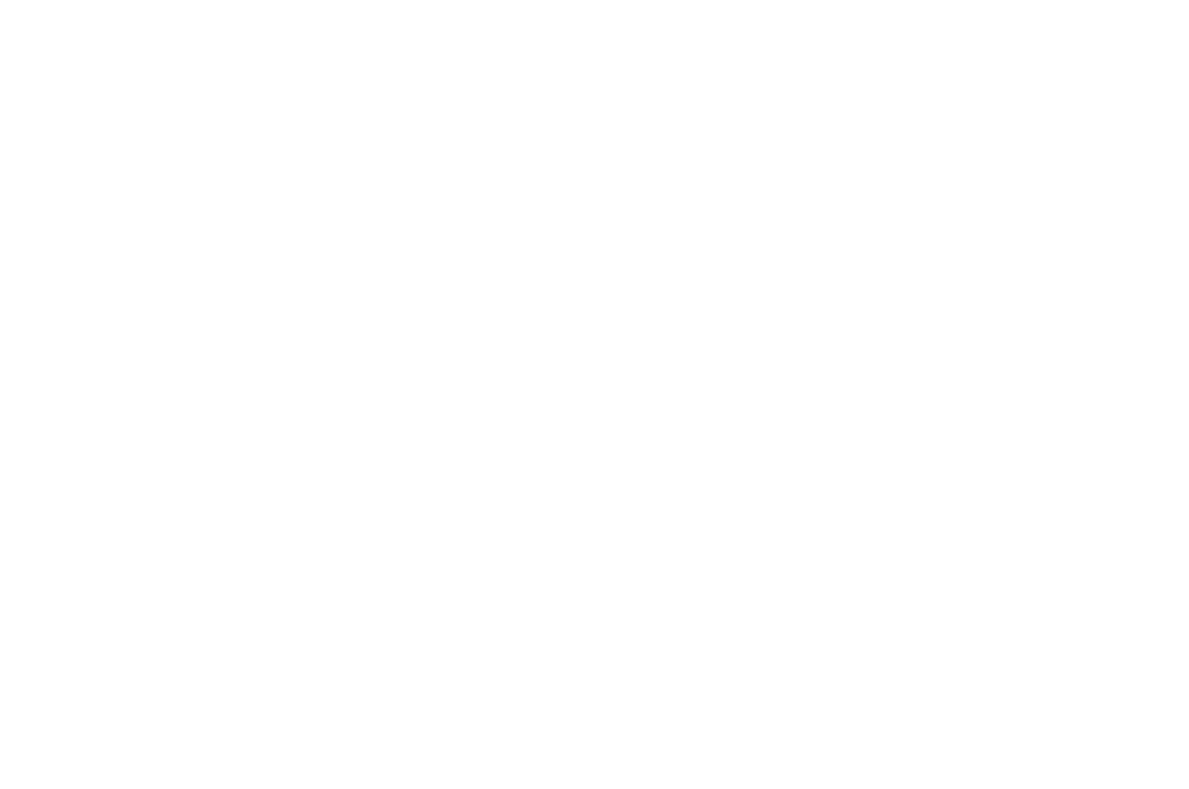 ICVM Best Curriculum Award