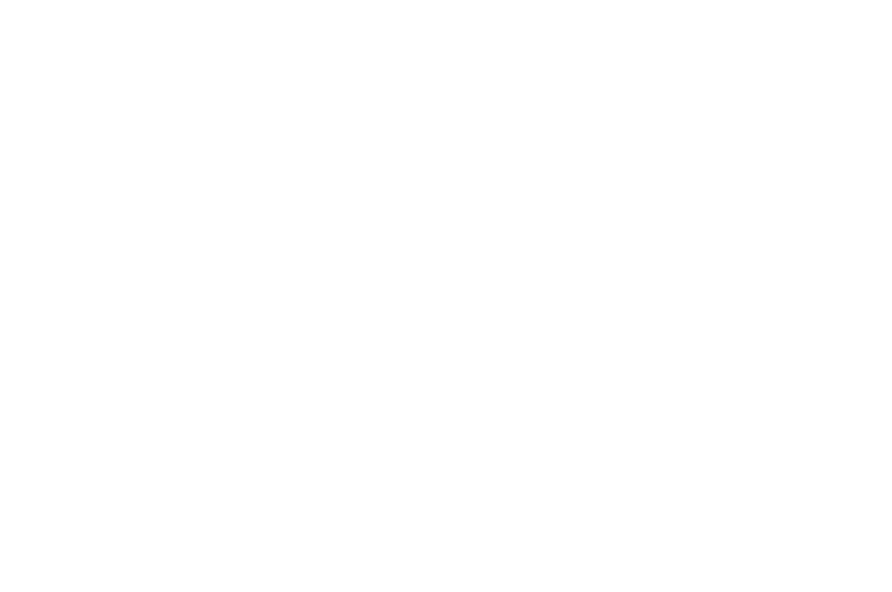 ICVM Best Documentary Award