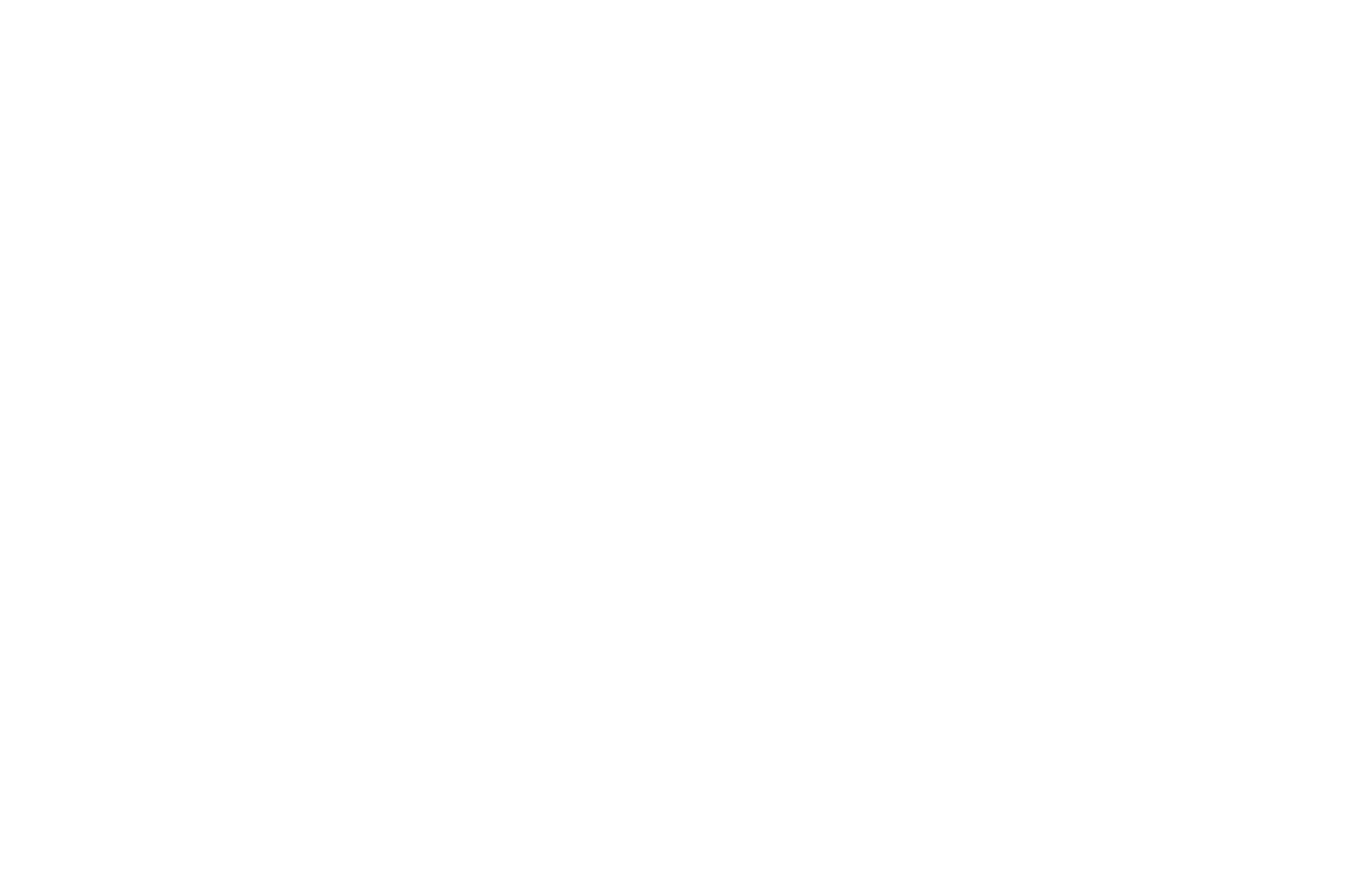 Gold Telly Award